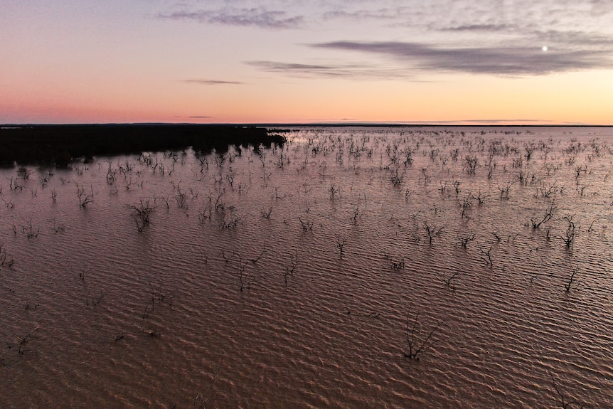 A lake full of water at sunrise.