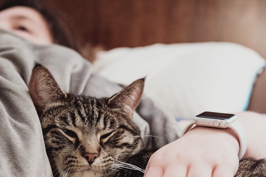 A woman lies on a bed with her arm around a cat