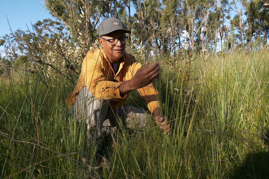 Duncan kneeling in long green grass looking at hand.