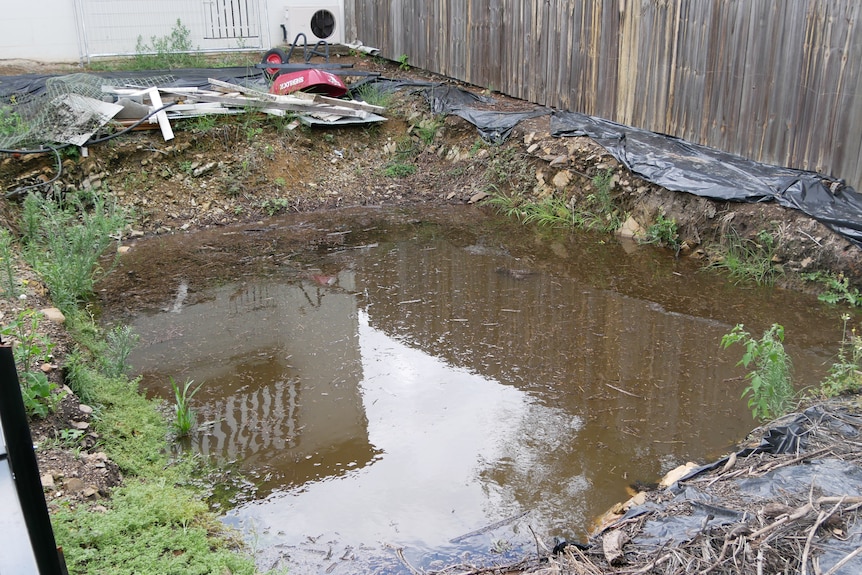A hole filled with water in the back yard of a house in Rockhampton.