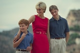 Diana stands and smiles with her teenage sons, Harry and William.