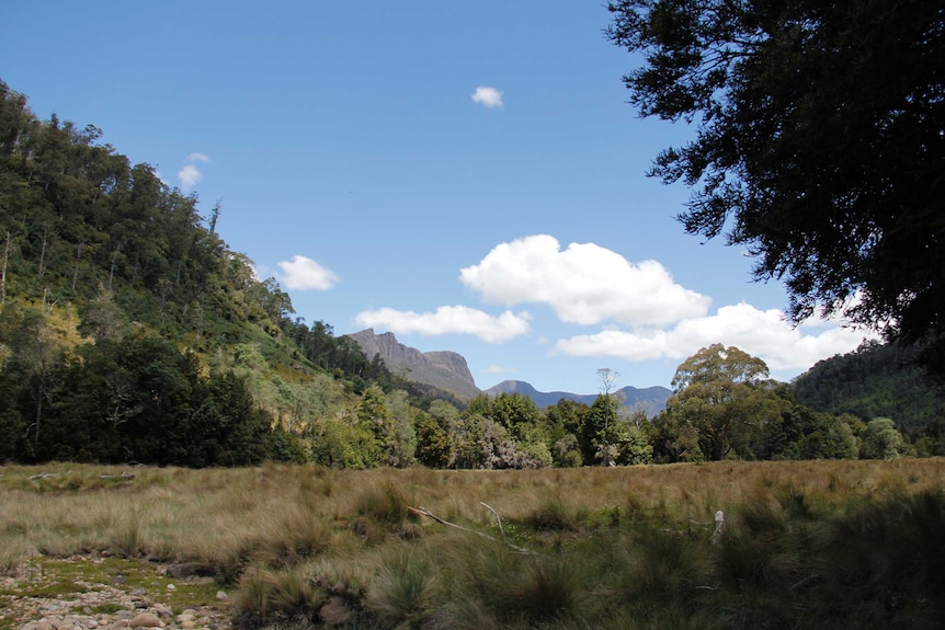 A paddock surrounded by mountains.