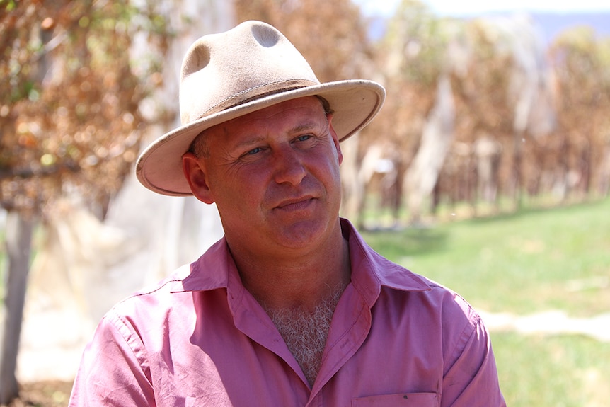 A man stands in an orchard with burnt trees in the background.