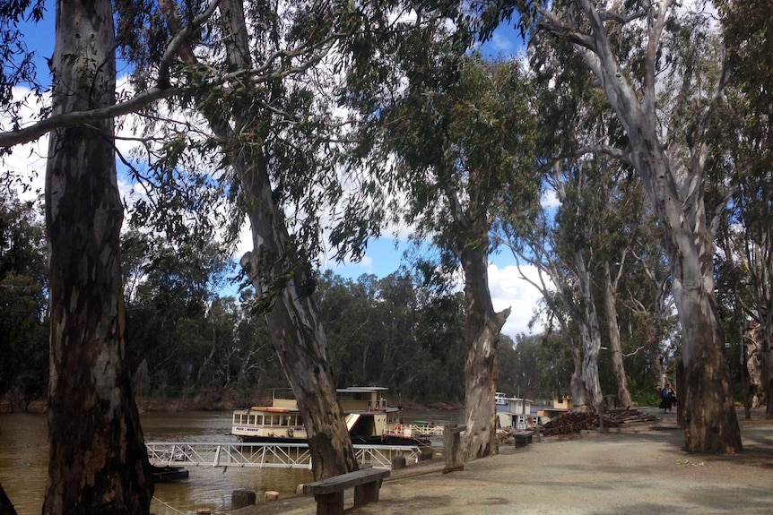 Echuca riverfront