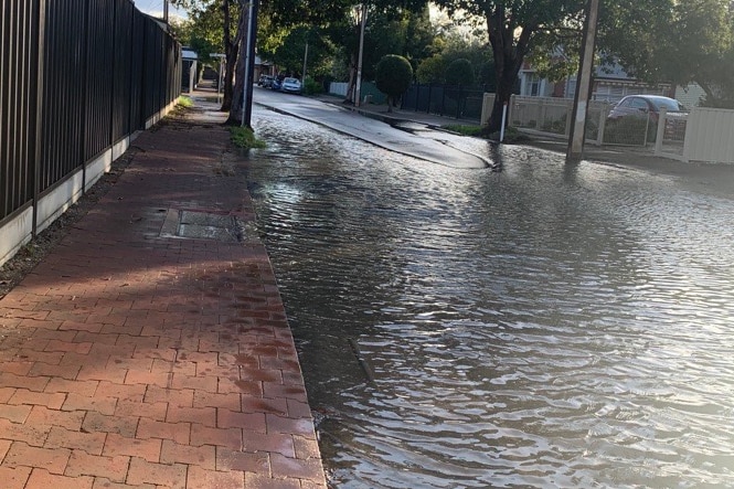 Water flooding a suburban street.