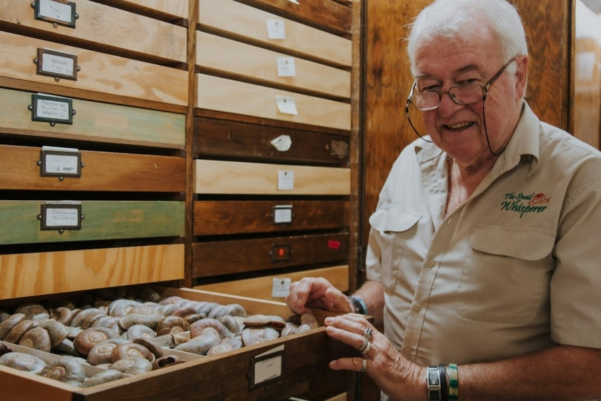 An older man standing near a draw of snail shells.