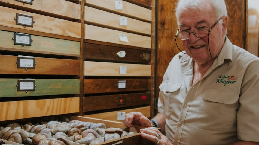 An older man standing near a draw of snail shells.