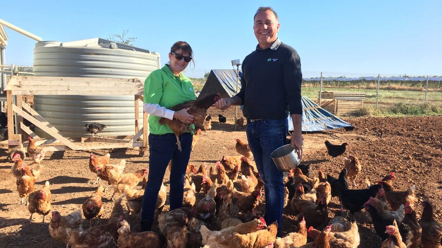 Marian Luehman and Michael Marks feed a chicken at the Sunraysia Residential Services Benetook Farm.