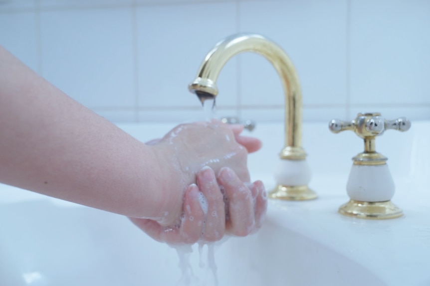 A caucasian girl washes her hands with soap and water in a white bathroom with gold tapwear.