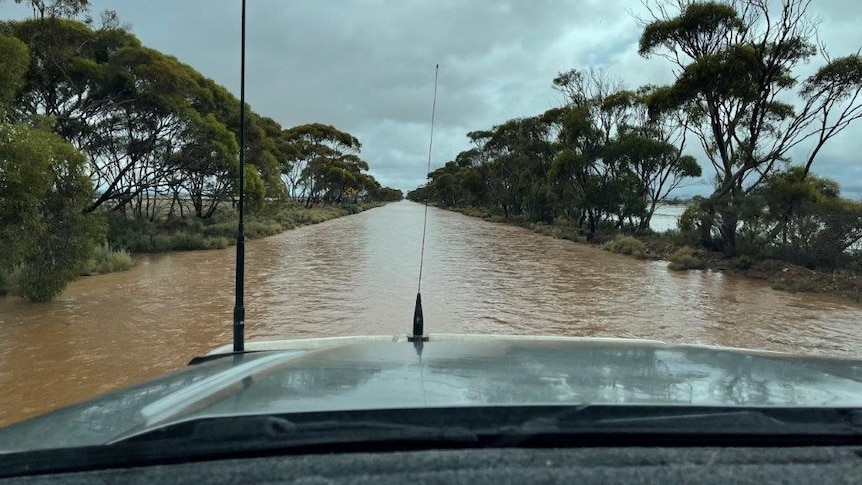 A flooded road surrounded by trees as seen over a car bonnet.