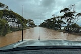 A flooded road surrounded by trees as seen over a car bonnet.