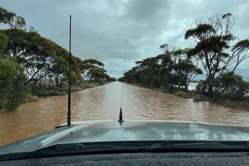 View of flooded road over car bonnet with trees lining flooded road