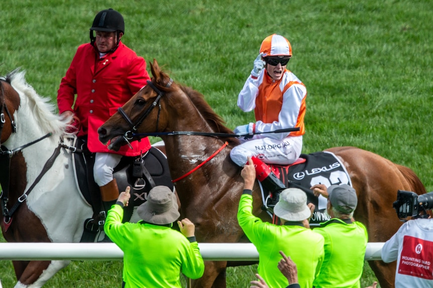 A jockey smiles and points to the crowd in celebration as he rides the Melbourne Cup-winner Vow and Declare back after the race.