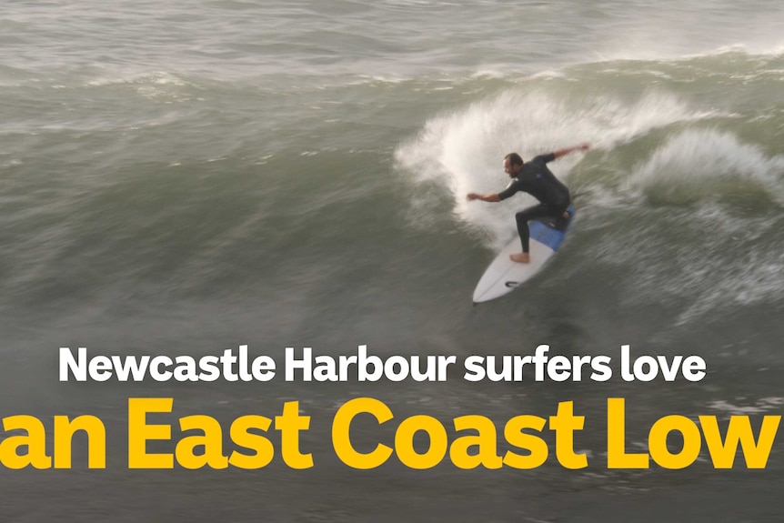 A surfer with the text Newcastle Harbour surfers love an east Coast Low.