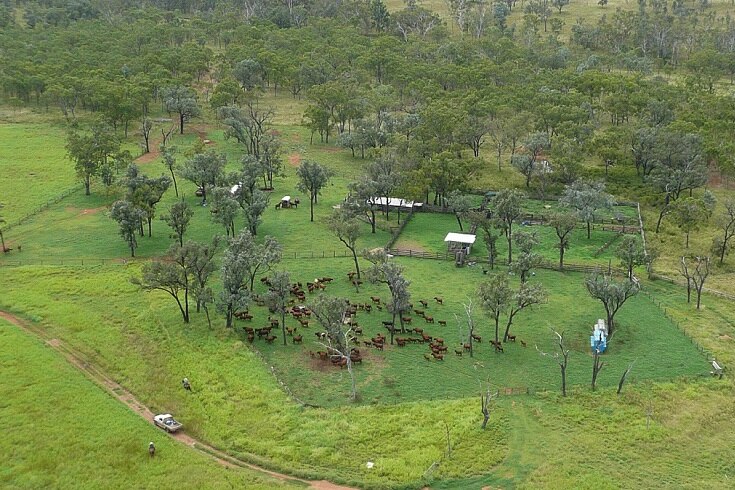 Aerial shot of a farm