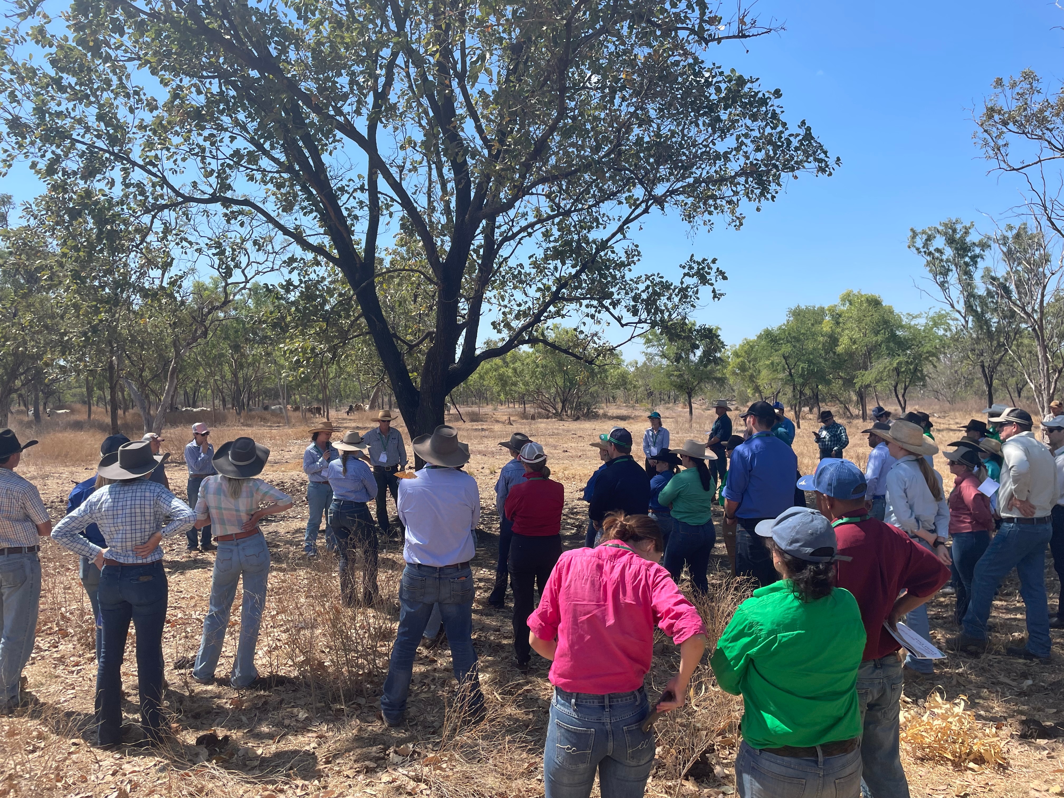 Kidman Springs field day 2026