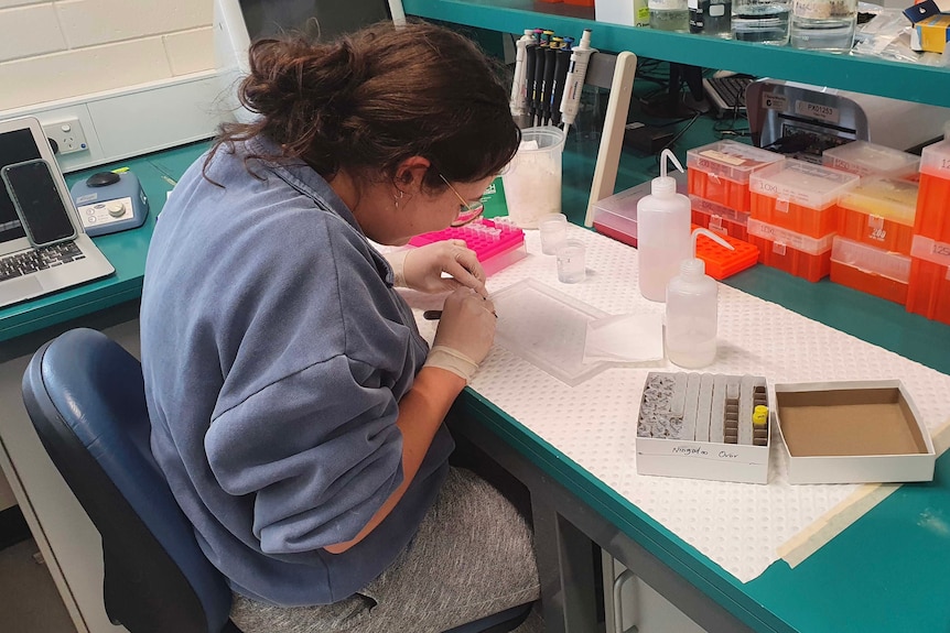 A woman sitting in a lab wearing gloves