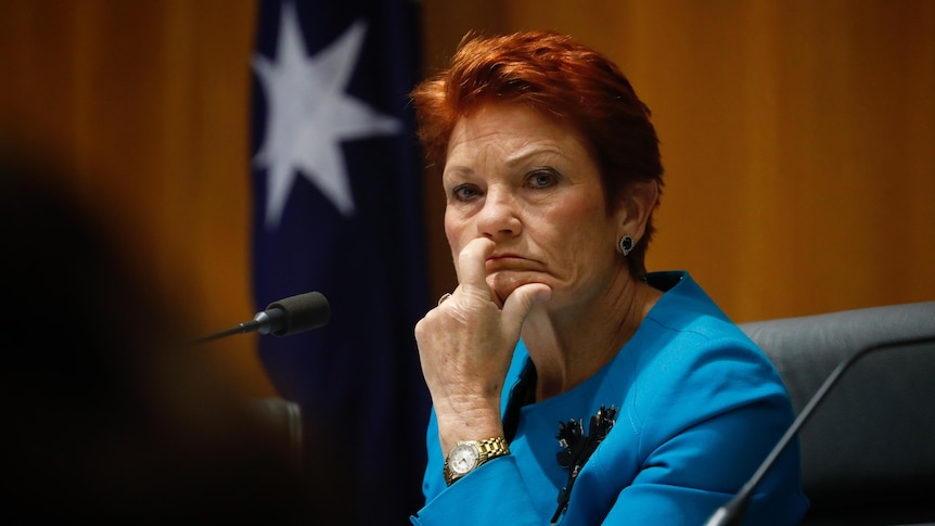 Pauline Hanson holds her head in her hand 