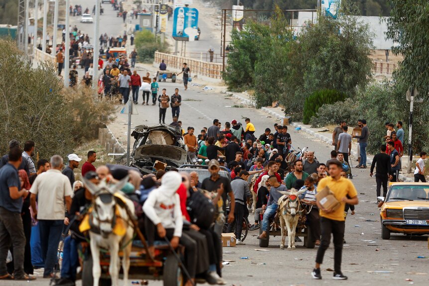 Hundreds of people travel down a road on foot and in donkey-pulled carts carrying their belongings