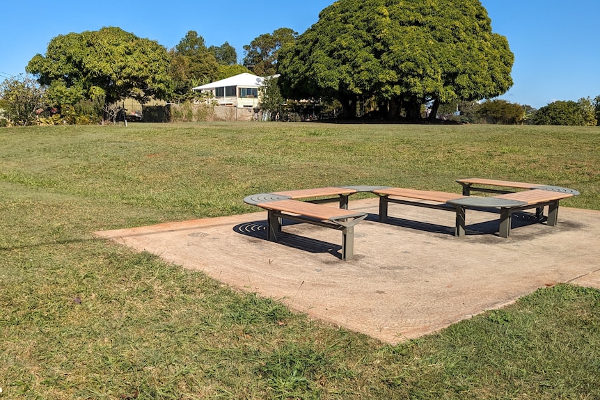 An s-shaped park bench on grass.