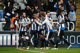 Newcastle's Vurnon Anita (2L) celebrates with team-mates his goal against Manchester City.