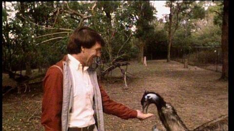 Presenter Don Spencer feeds an emu