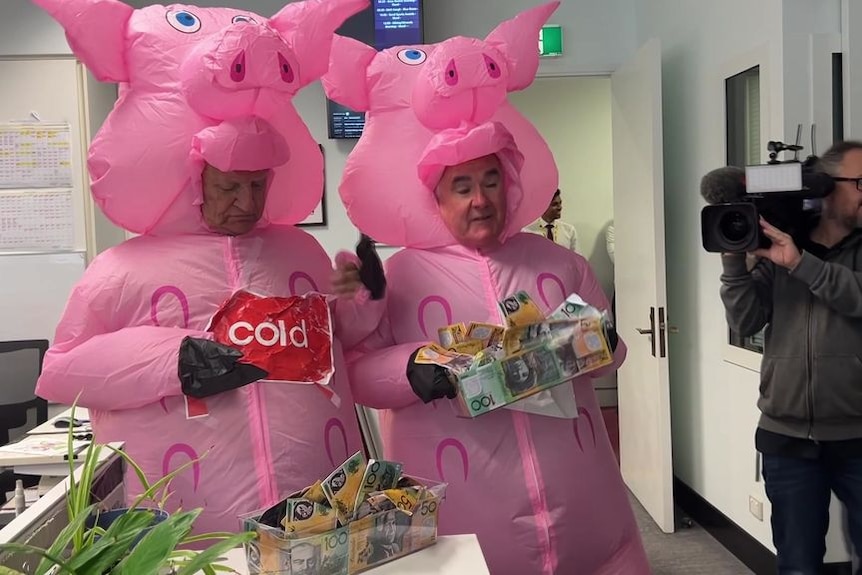 Independent MPs Bob Katter and Andrew Wilkie in pig costumes