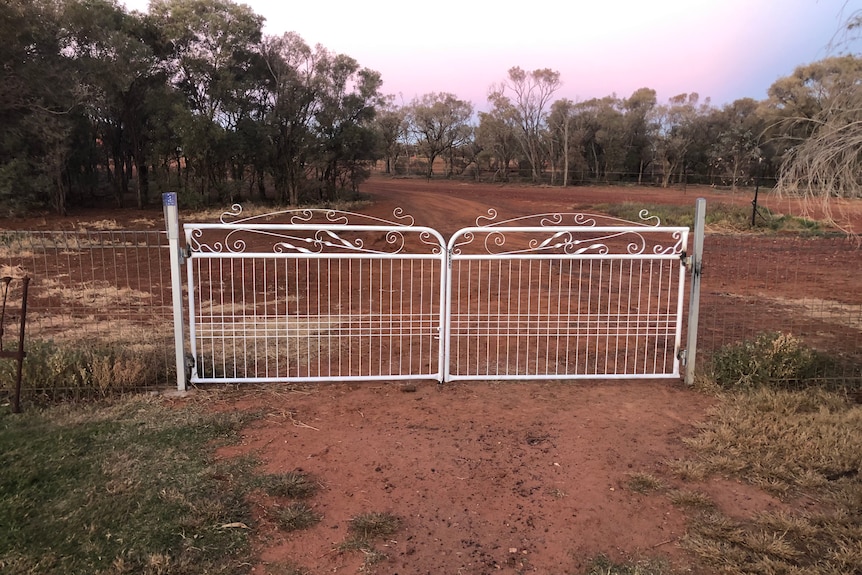 White iron bar gates, closed at the end of a driveway.