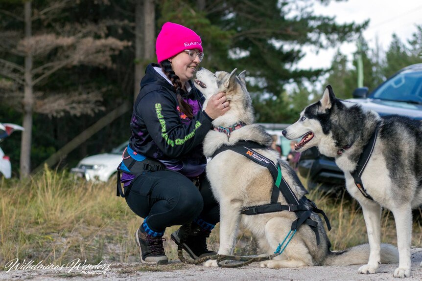 A woman involved in sled dog racing pets her husky.