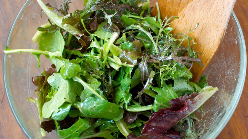 Green salad in salad bowl
