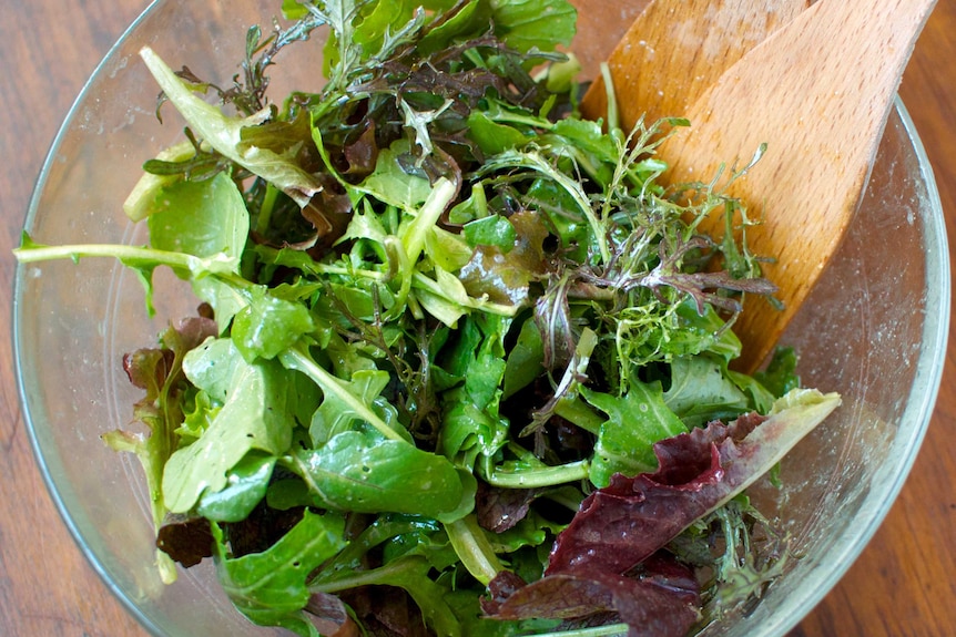 Green salad in salad bowl