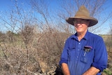 John Ogg stands in front of some dead prickly acacia at his Winton property, Ayrshire Downs.