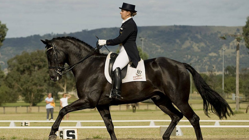 Christine Crawford and black horse competing in dressage.