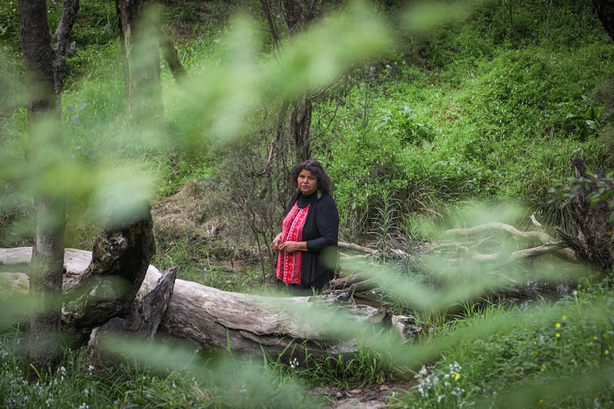 A solemn Aboriginal woman stands next to a river amid dense vegetation. She wears red top, black cardie.