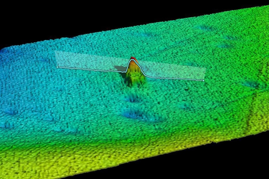 A computer visualisation of the SS Terra Nova