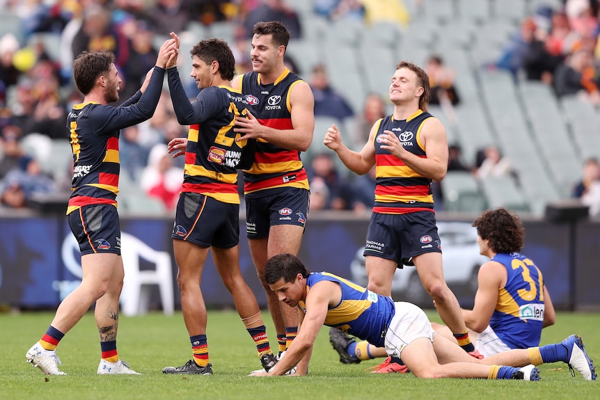 A number of Adelaide Crows players celebrate together while West Coast players lie on the ground