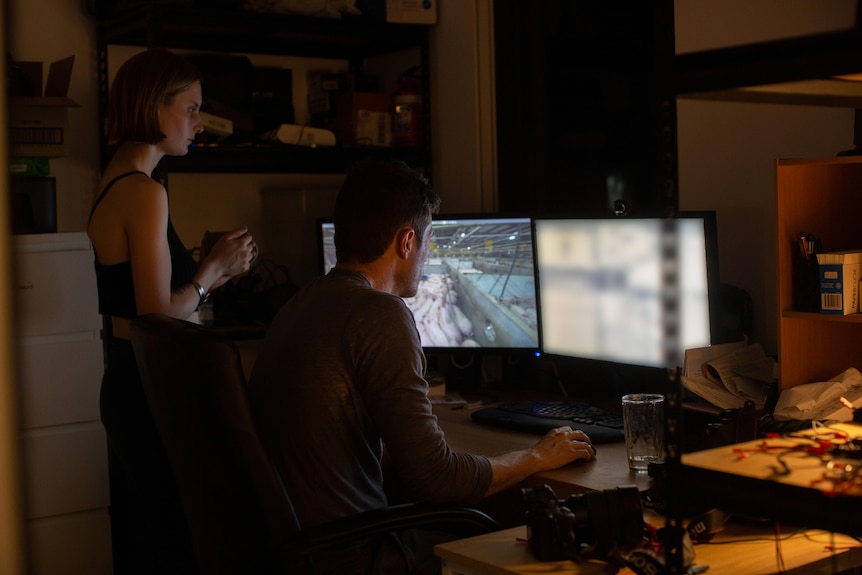 Man looking at two computer monitors with a woman standing to his left.