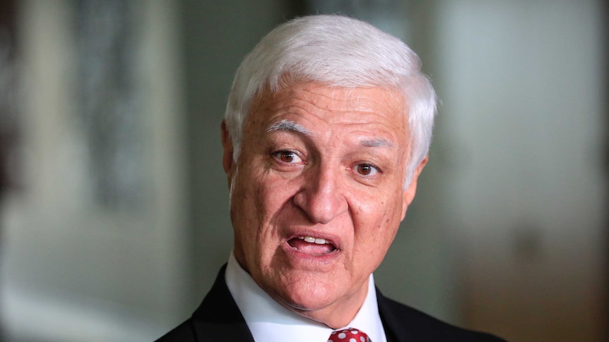 Independent Federal MP Bob Katter looks surprised as he speaks to reporters