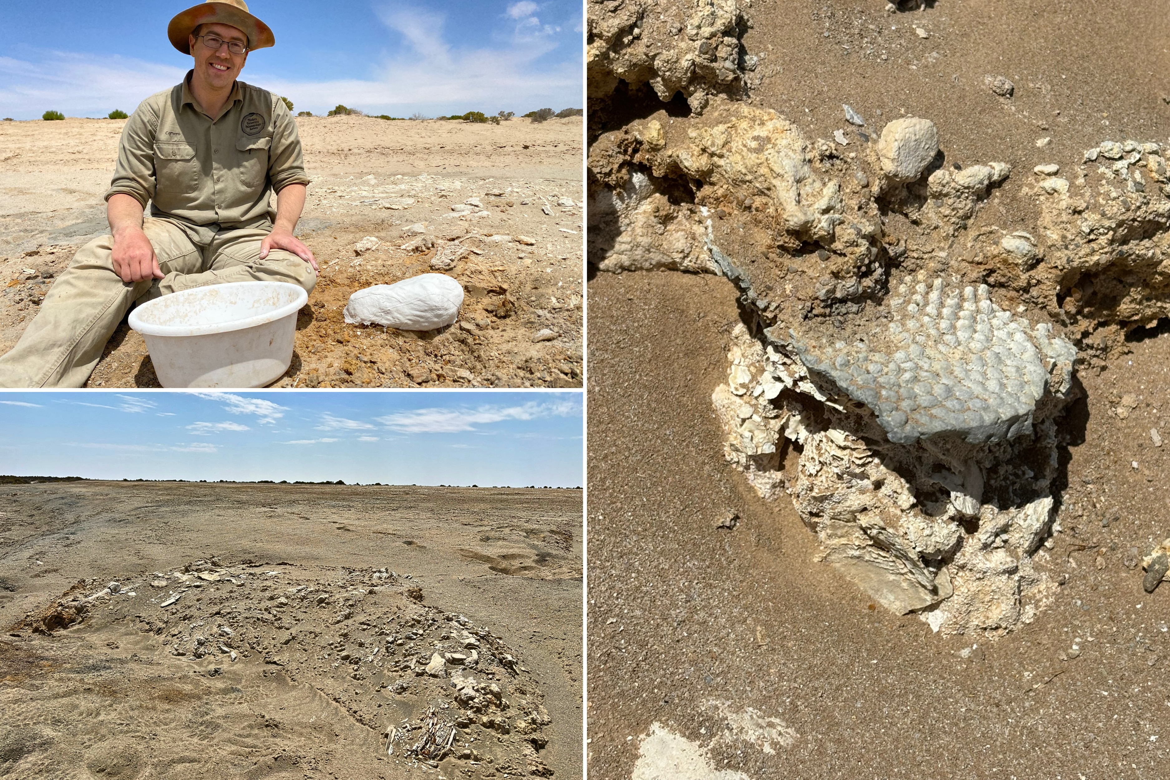 A composite of three photos of fossil digging in the outback. The top left is of Dr Aaron Camens sitting on the ground