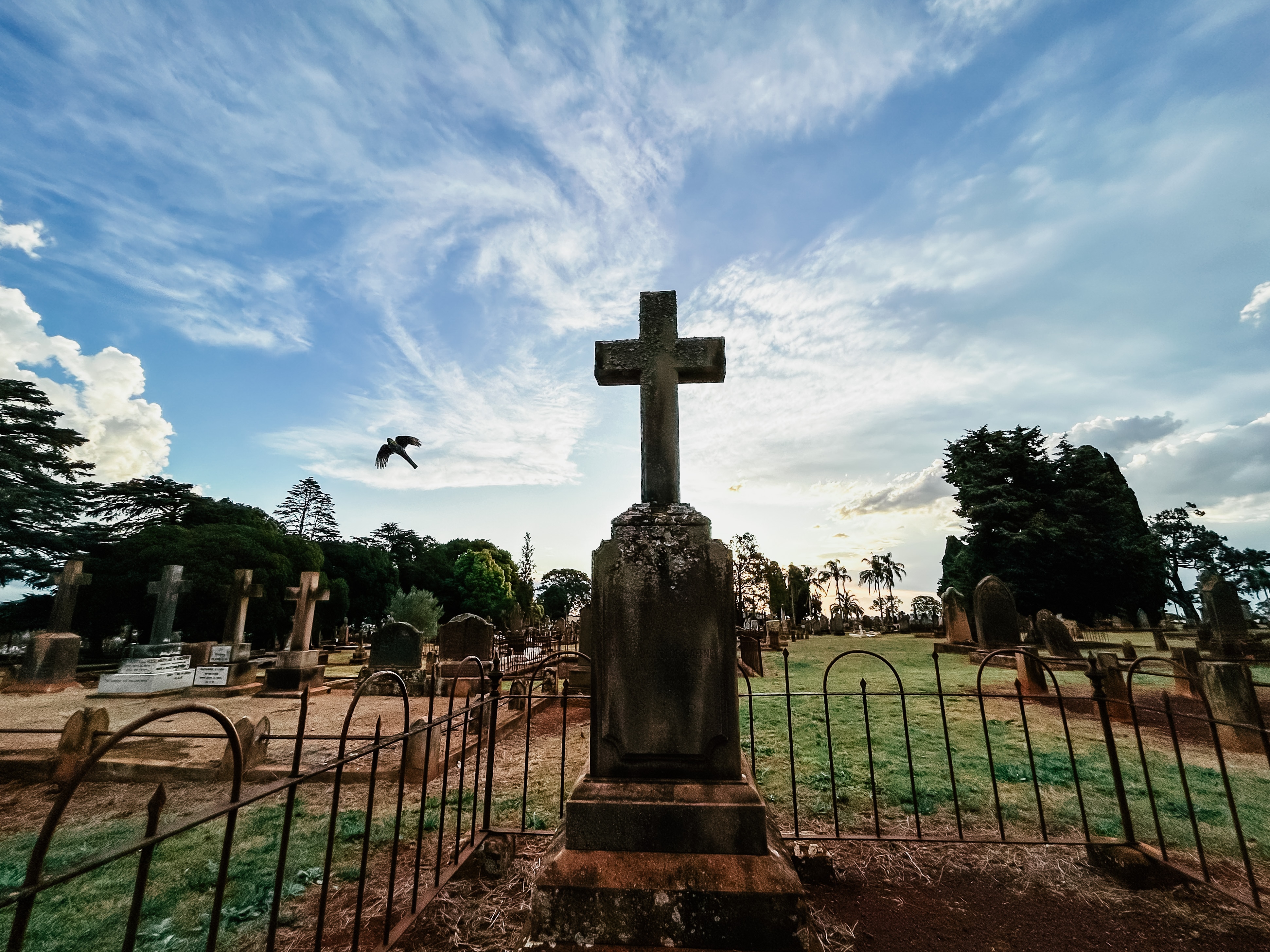 a bird flies past a grave in a cemetery