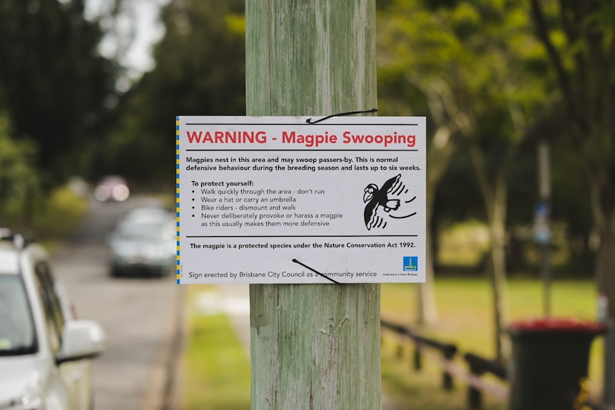 A sign near the park warning about magpies