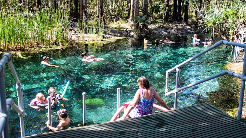 Tourists swim at a vivid blue thermal pool in Mataranka.