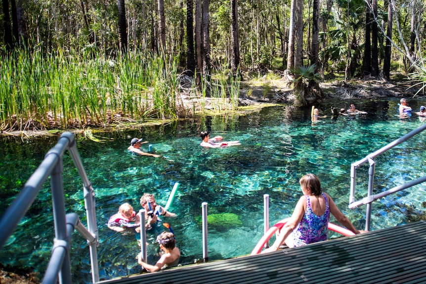 Tourists swim at a vivid blue thermal pool in Mataranka.