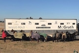 A truck used for carrying polo horses, owned by Willo Polo club.