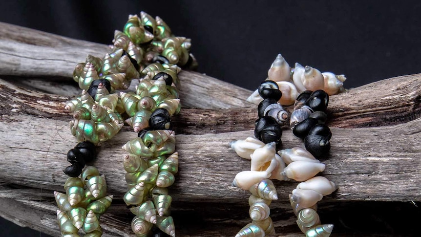 Maireener shell necklaces on a log