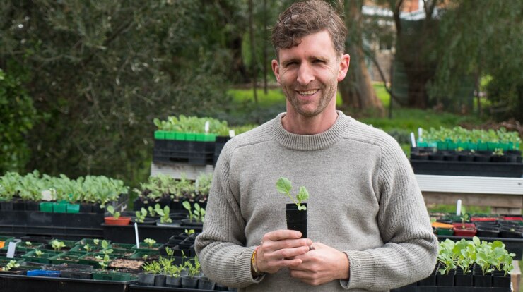 GrowFree founder Andrew Barker holds a punnet vegetable in his home seedling collection.