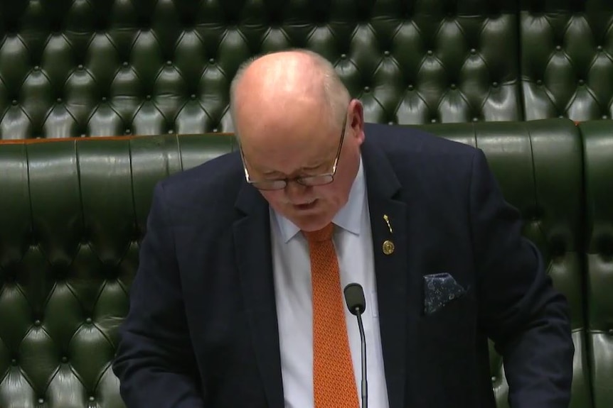 A bald man with red tie and dark blue suit stands in NSW parliament talking, green leather bench behind him.