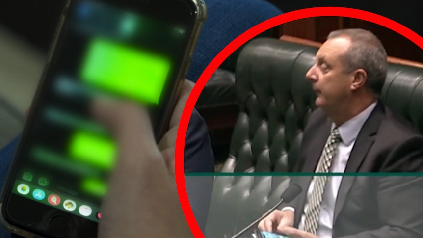 MP exchanged lewd messages with sex worker during NSW question time
