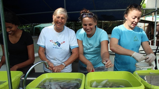 Cairns Turtle Rehabilitation Founder, JCU Researcher Jennie Gilbert and volunteers.