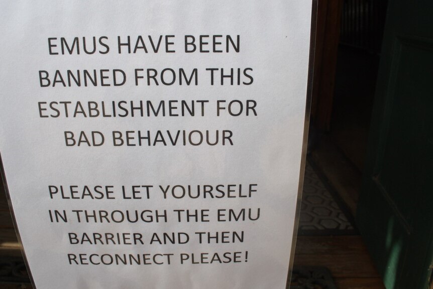 A sign banning emus at the Yaraka Hotel in western Queensland.